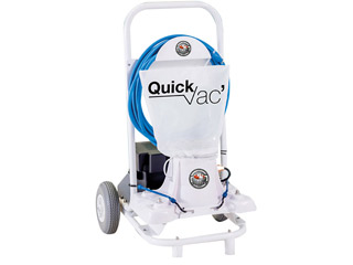 Robot aspirateur piscine Hexagone QUICK VAC Pataugeoire